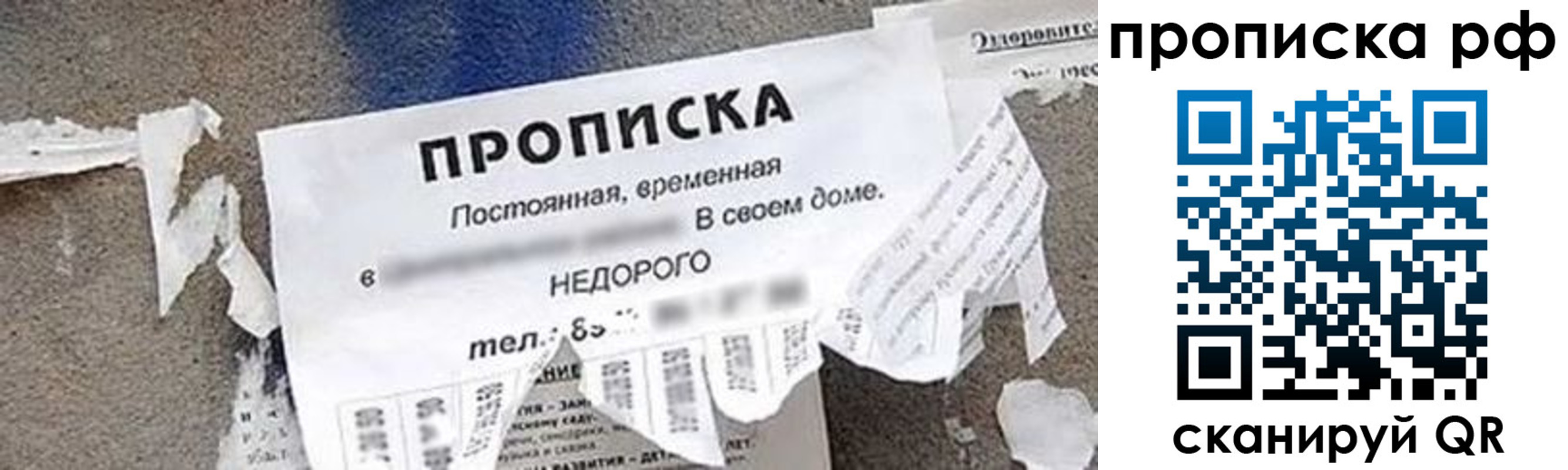 где прописаться в Волосово